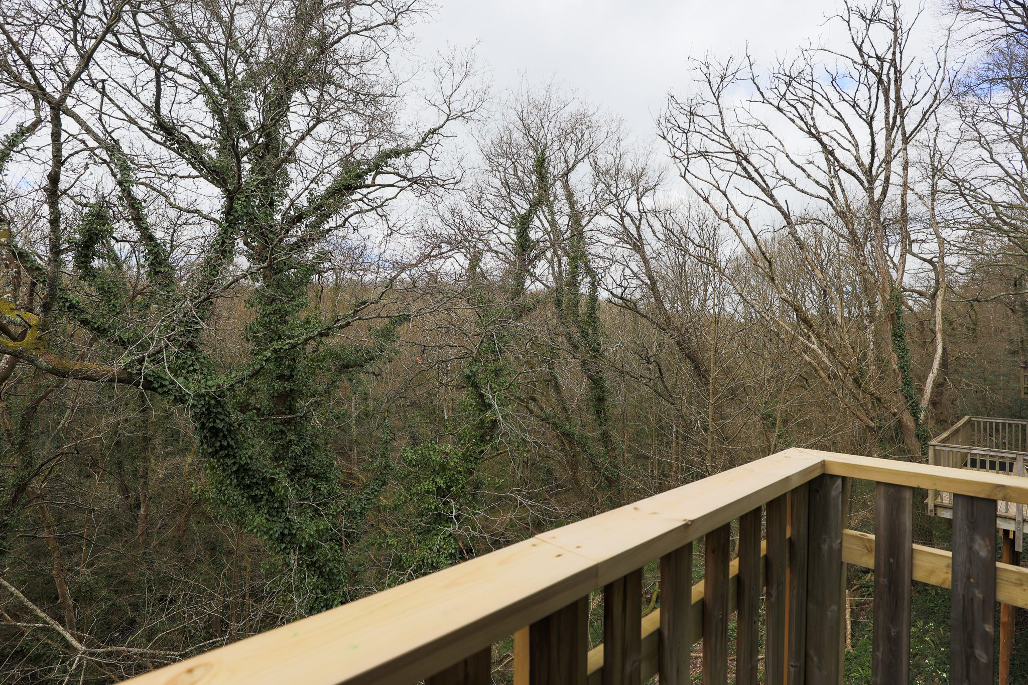 Oak Tree Lodge - Image 12